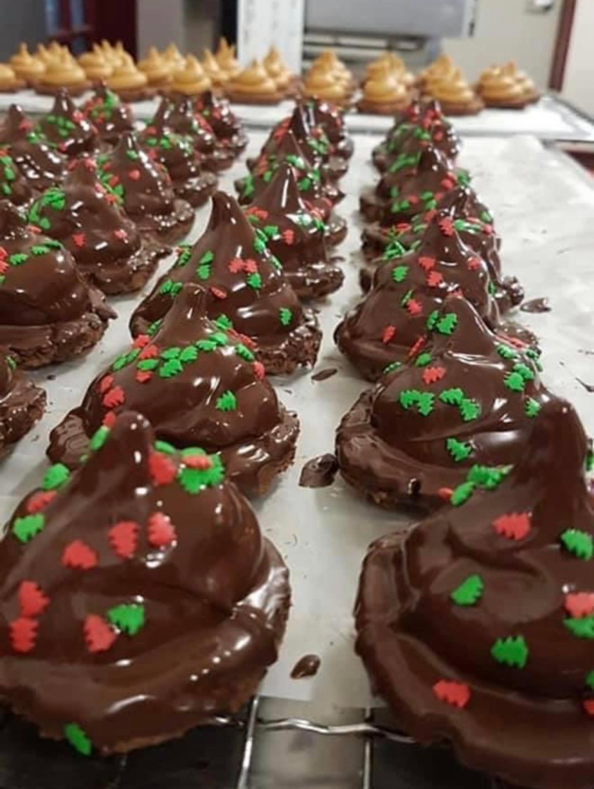 Reindeer Poop - Bags of 5 image 0